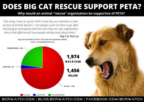 bcr-supports-peta